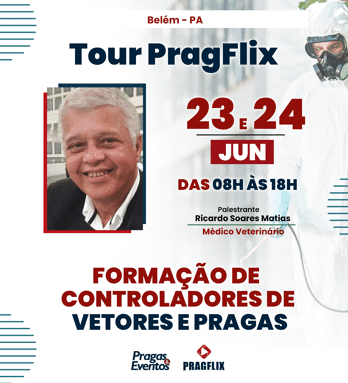 Tour Pragflix - Belém